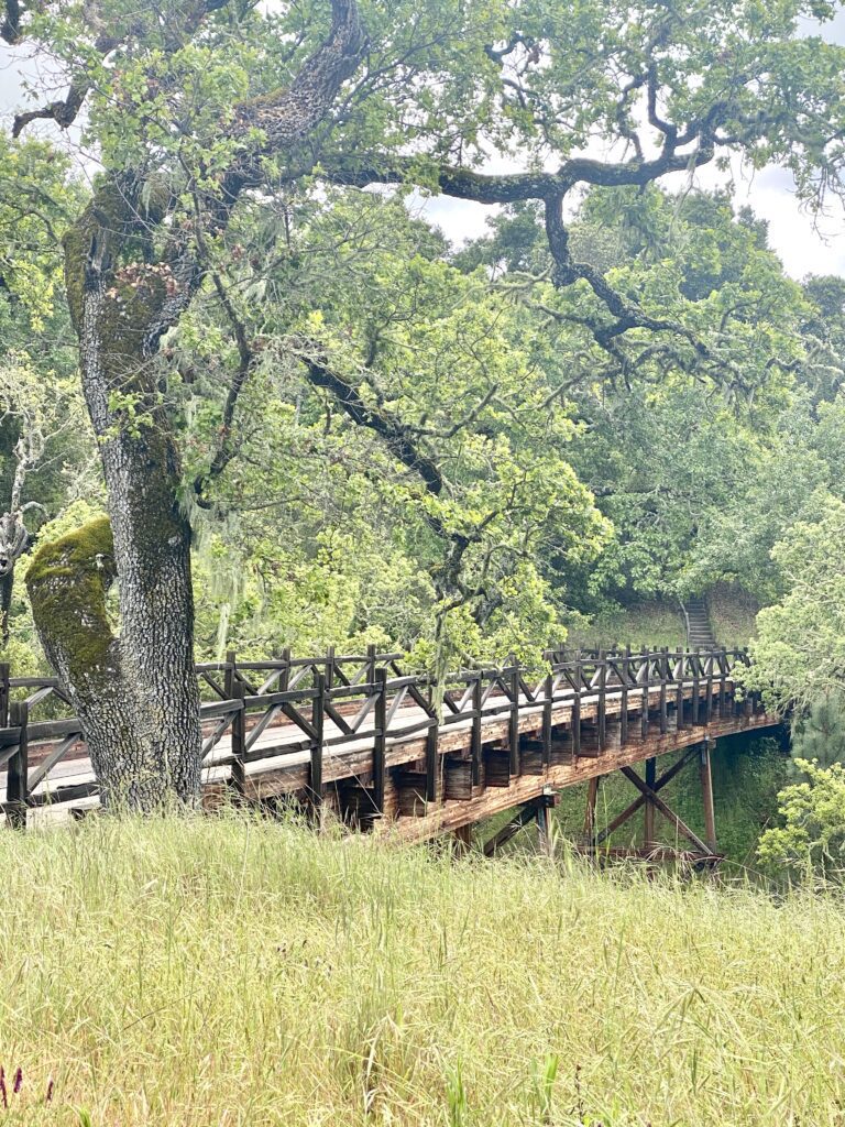 Maxwell House Bridge Photograph